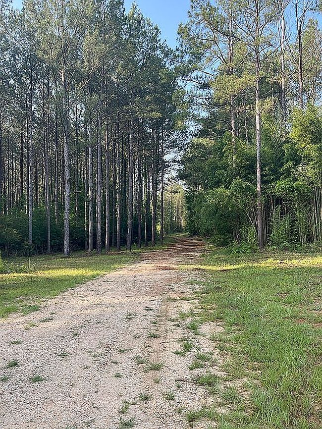 Photo of 4065 Judge Rd, Liberty, MS