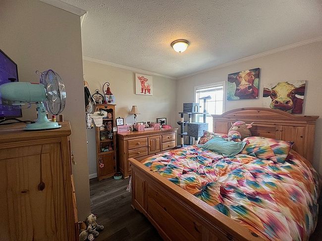 Photo of 2525 Secretariat Way, Sevierville, TN