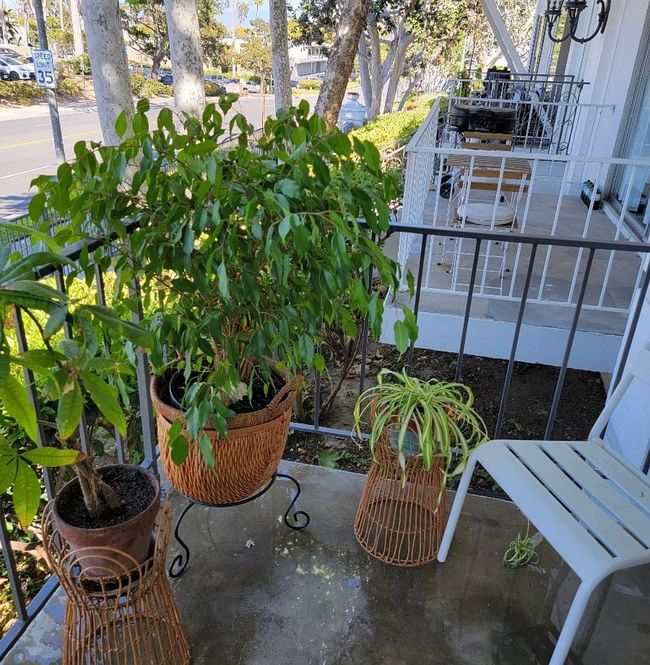 Image of 300 Cagney Ln Apt 111