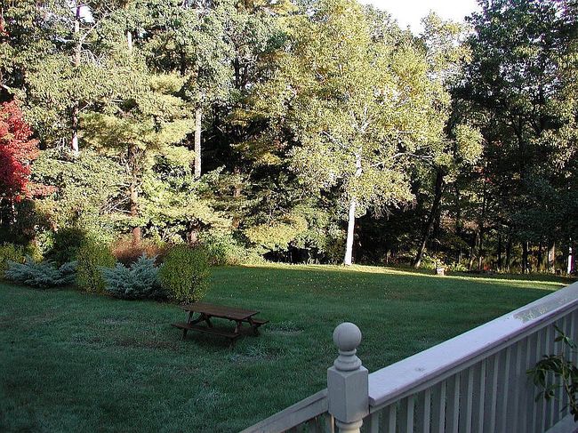 Image of 7 Decary Rd