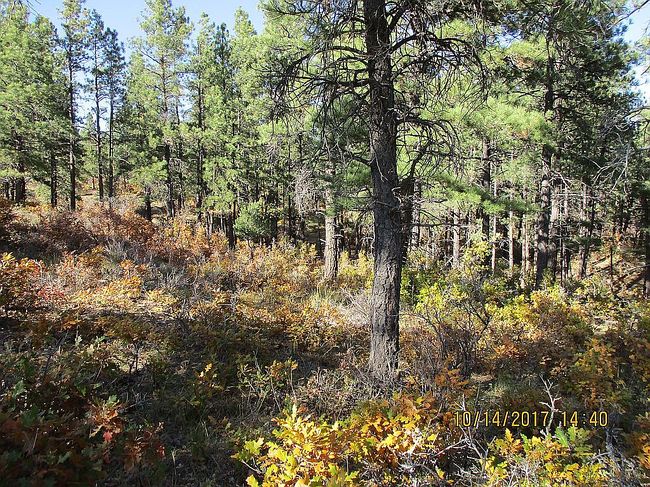Photo of 43767 Us Highway 160, Bayfield, CO