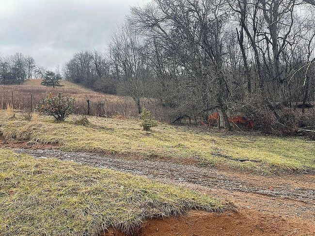 Image of 13489 Brinkley Rd