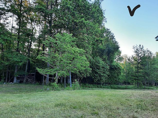Image of 1018 Bob Gauldin Rd