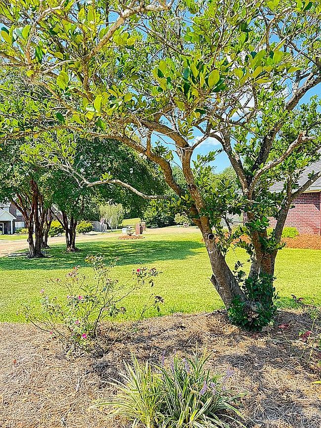Photo of 218 Creek Stone Dr, West Monroe, LA