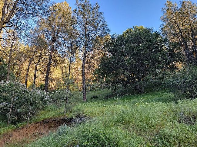 Image of 18222 Caliente Creek Rd