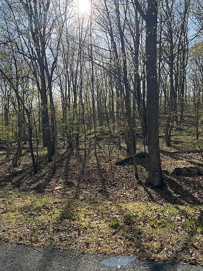 Image of 0 Dogwood Ln
