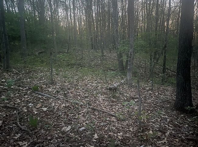 Photo of 3243 Ladd Ridge Rd, Athens, OH