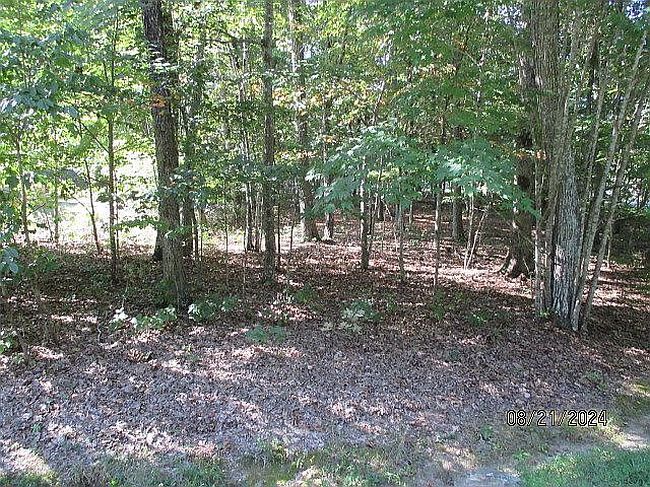 Image of 153 Trentwood Dr
