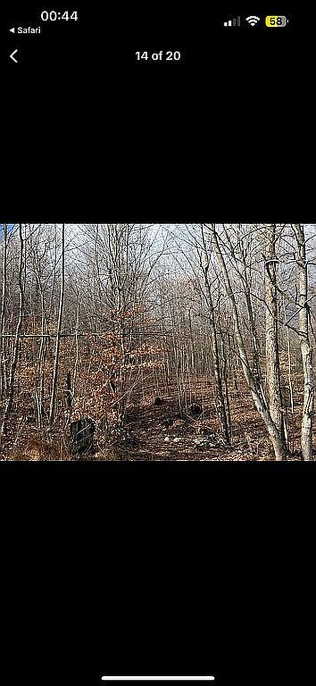 Image of 5579 State Highway 906