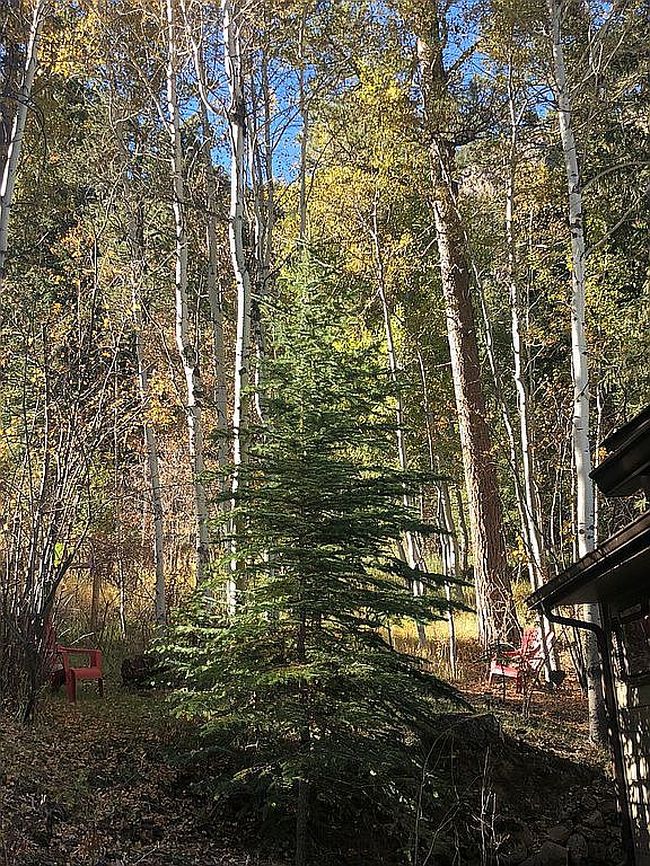 Image of 10155 Mountain Rd