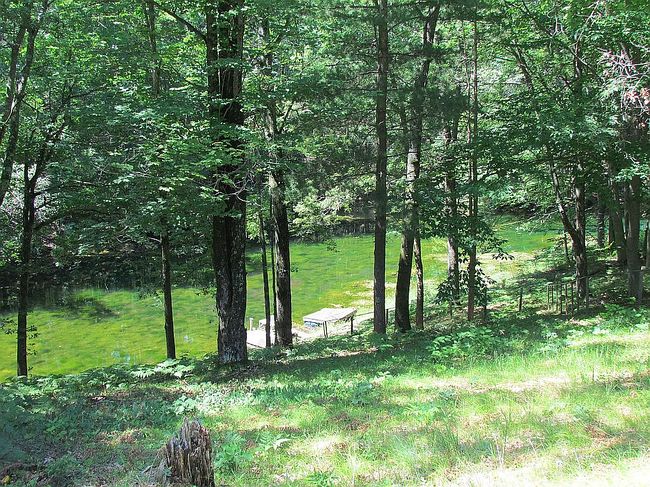 Photo of 2294 Bialik Rd, Manistee, MI