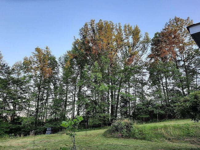 Image of 1018 Bob Gauldin Rd