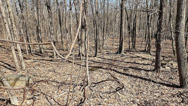 Photo of Eagle Pass Lot 711, Cresco, PA