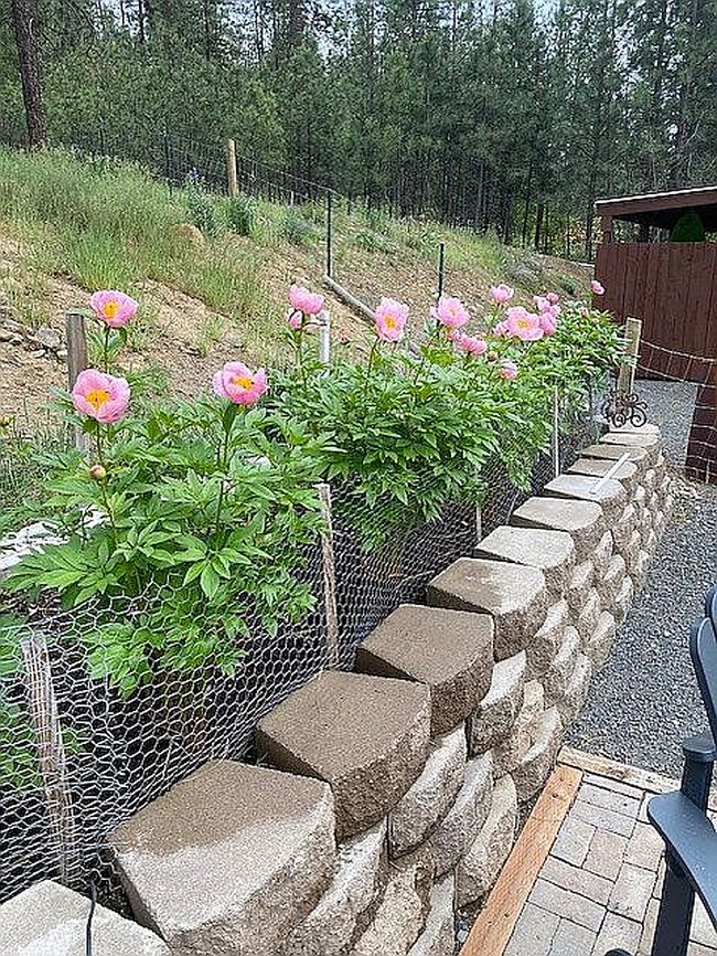Image of 6479 Fir Drive Way