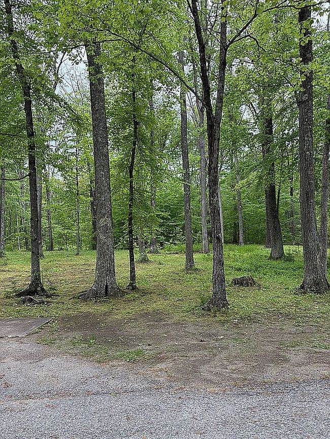 Photo of 42 Louise Ln, Lake George, NY