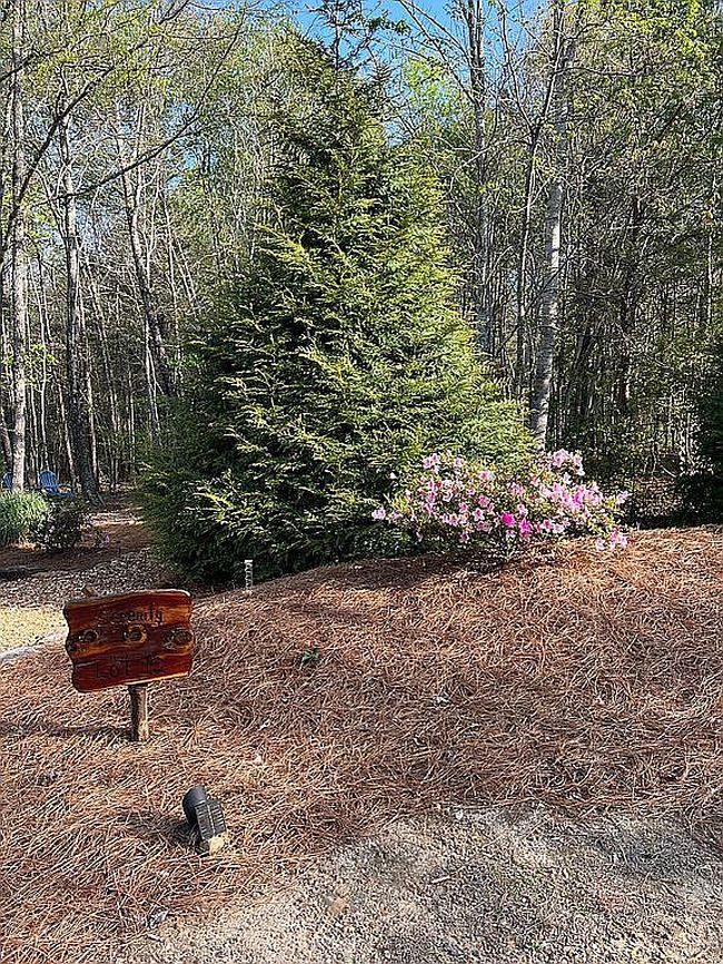 Photo of 11987 Highway 48, Menlo, GA