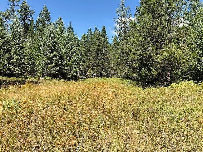 Photo of 13 Little Bear Rd, Trout Creek, MT