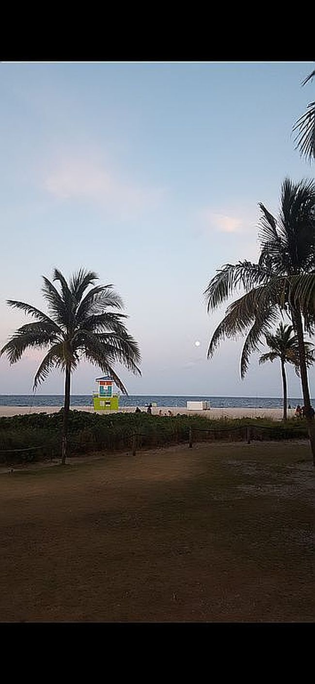 Image of 405 N Ocean Blvd Apt 1217