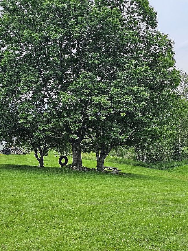 Photo of 973 Shores Hill Rd, Granby, VT