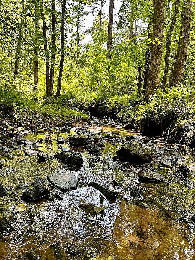 Photo of Lot 64 High Pines Dr, Salem, SC