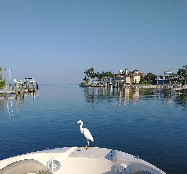Image of 355 S Shore Dr
