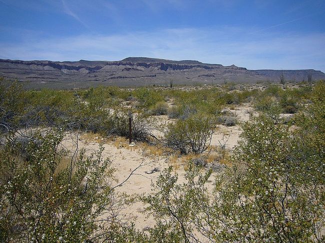 Image of Lot 74 Roosevelt Road