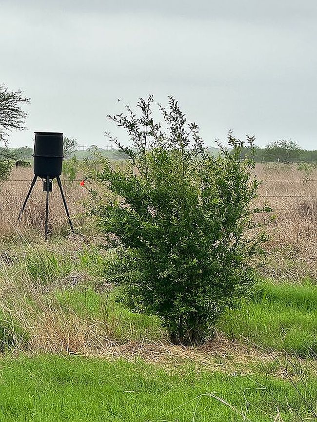 Photo of 295 Lassman Rd, Goliad, TX