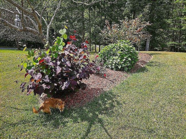 Image of 4475 Rich Creek Rd