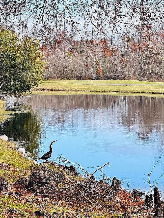 Photo of 20005 N Highway 27 #343, Clermont, FL