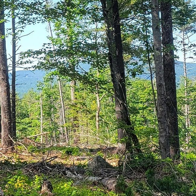 Photo of Stoneham Rd, Brookfield, NH
