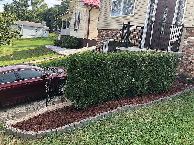 Image of 956 Greendale Dr