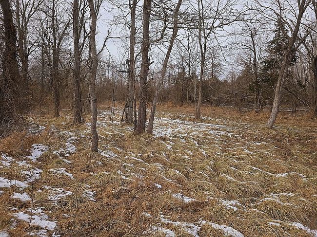 Image of 1408 Hickory Trl