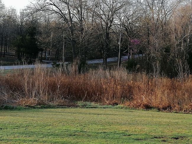 Image of 1165 Comet Rd