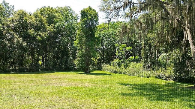 Image of 1704 Lake Cypress Dr