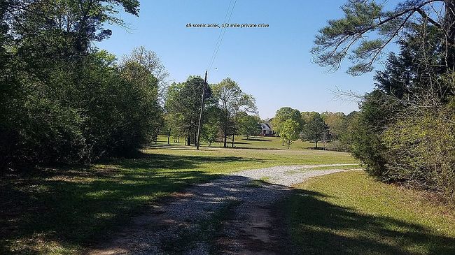 2705 Second Kolomoki Rd, Blakely, GA