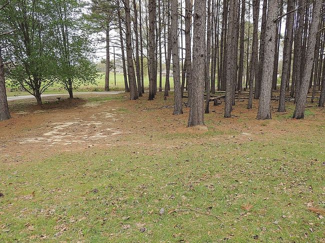 Image of 320 Everett Drennan Rd