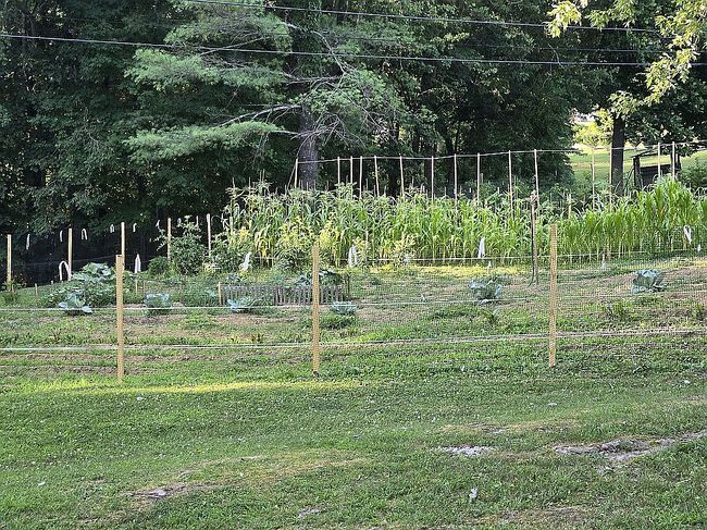 Photo of 180 Donell Ball Rd, Pine Knot, KY