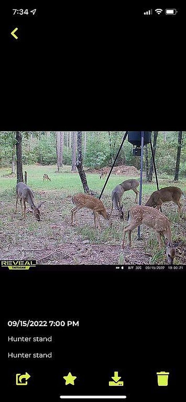 Photo of 487 Shouse Ford Rd, Amity, AR