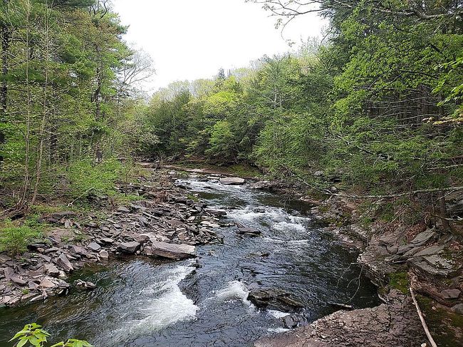 Image of 1371A High Falls Rd