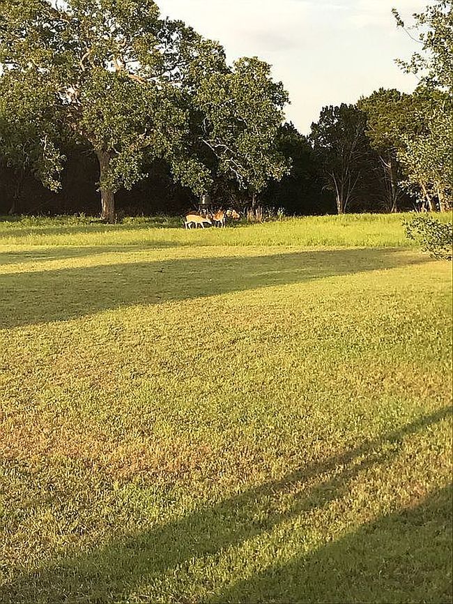 Image of 323 Patricia Rd