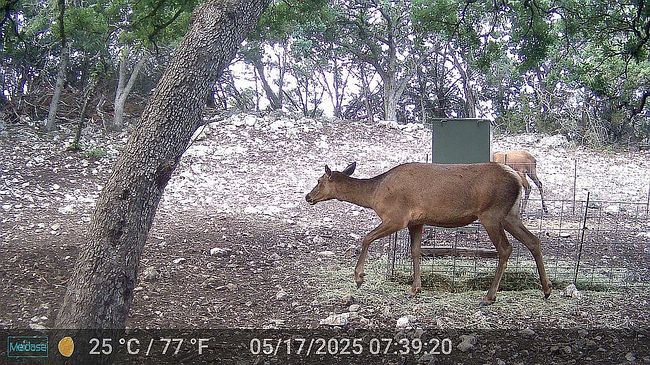 Image of 880 Rocky Top Dr Sw