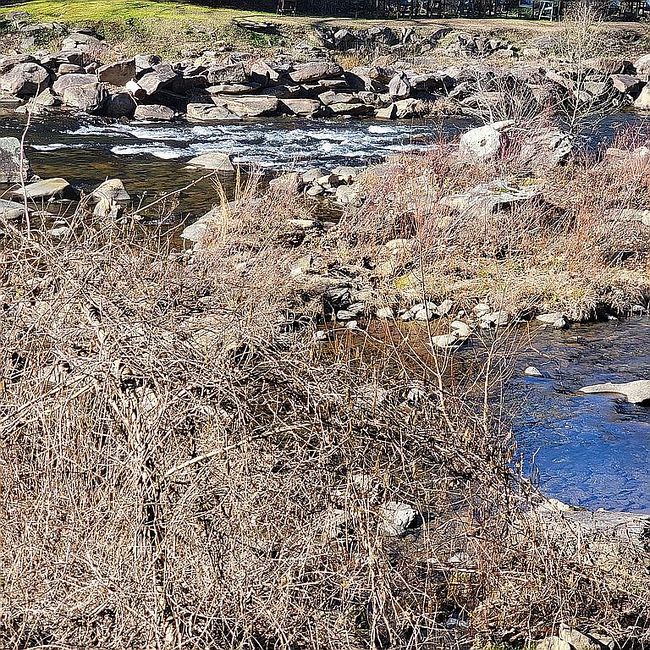 Image of 993 Meadow Branch Rd