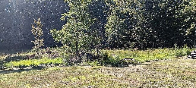 Photo of 50 Mccune Dr