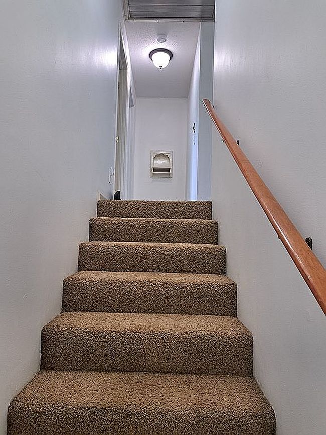 Image of 203 Pine Forest Cir