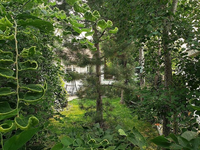 Image of 725 Lake St