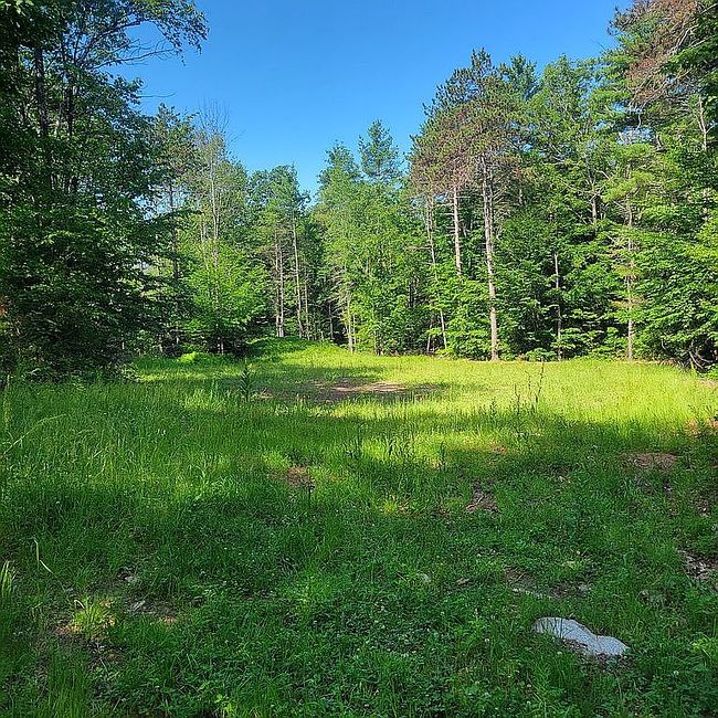 Photo of Stoneham Rd, Brookfield, NH