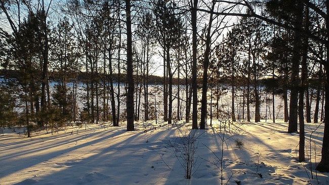 Photo of 5158 Mich A Ke Wa Trl, Cheboygan, MI