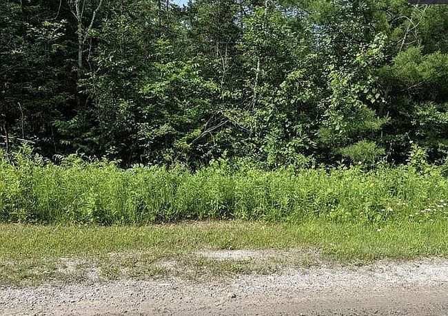 Image of 181 Sitting Bull Rd