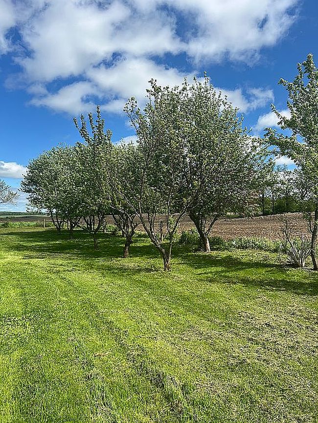 Image of 449 Salt Rd
