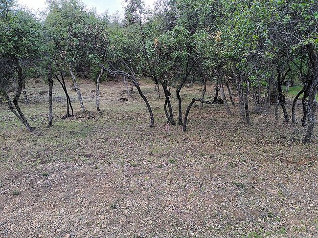 Photo of 5369 Monterey Pl, Kelseyville, CA